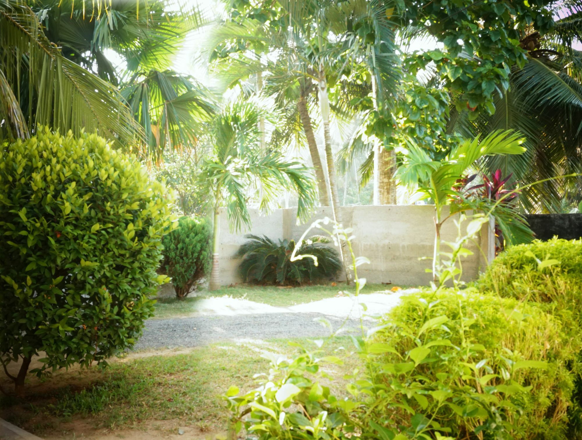 Liana Private Villa Near Tangalle Beach Экстерьер фото